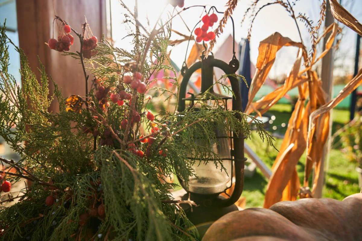 A rustic lantern surrounded by greenery and red berries, with soft sunlight illuminating the autumn décor.